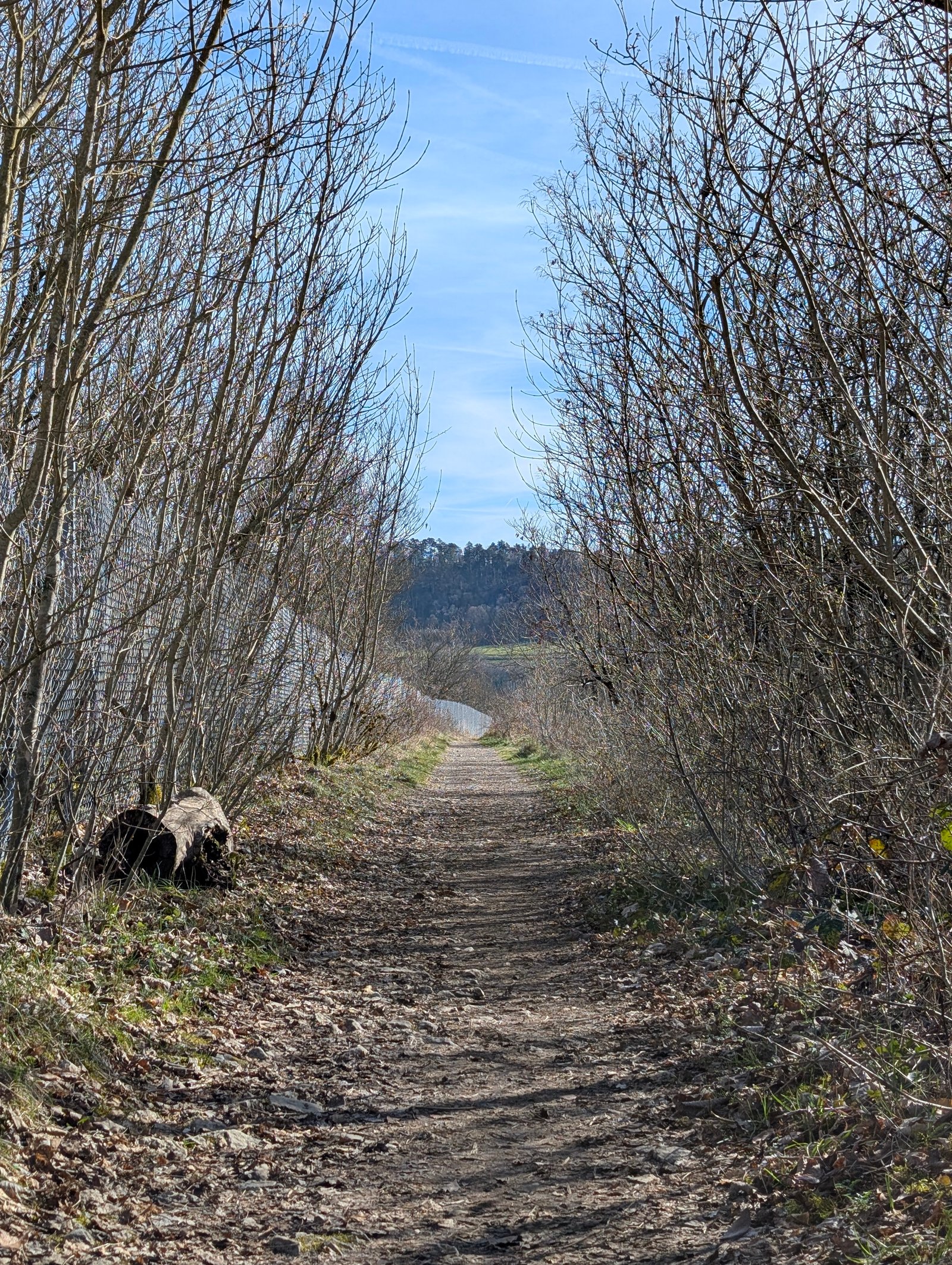 Paysages 